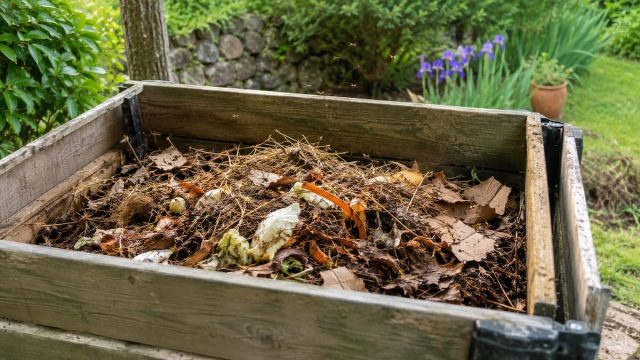 compost